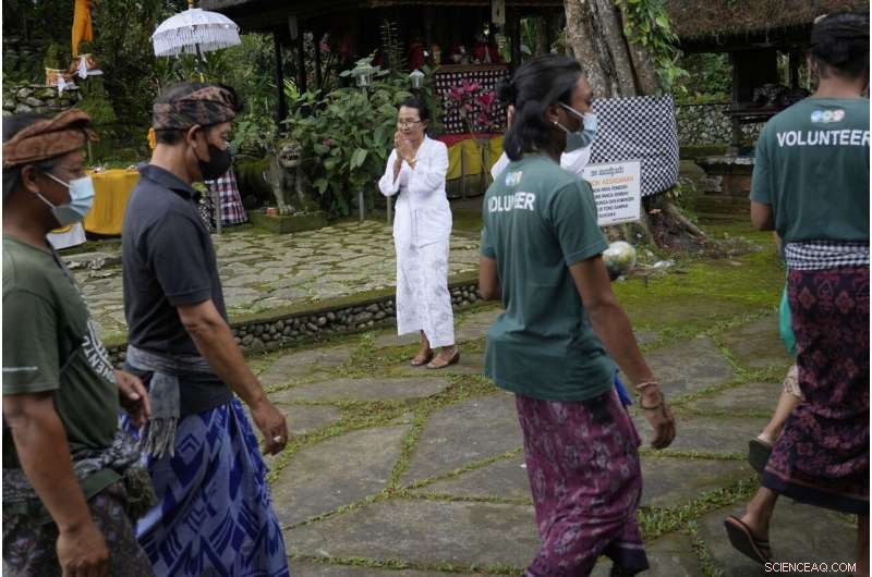 Bird Sellers in Bali Propel the Endangered Mynah’s Return