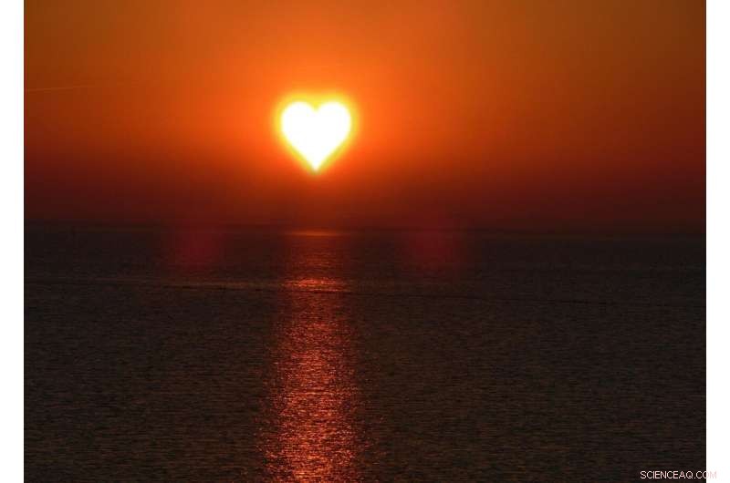 Enhancing Ocean Health with Drones, Satellites, and Infrared Sensors