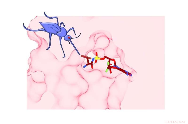 New Antimalarial Drug Forces Self-Destruction of Drug-Resistant Parasites