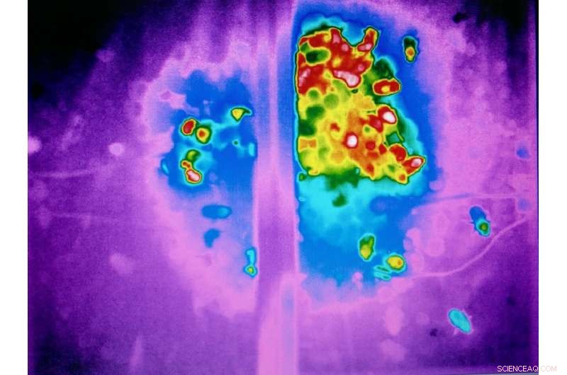 Glyphosate s Impact on Bumblebee Brood Care: A Scientific Study
