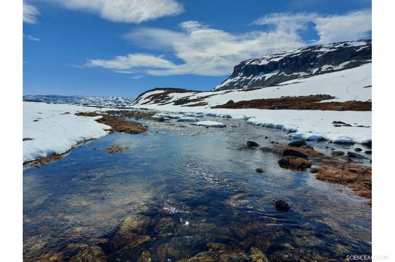 Climate Change Impacts on Northern Finnish Species: A 40-Year Analysis