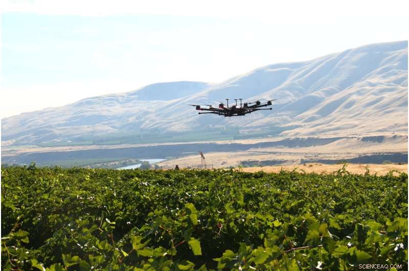 Drone Technology for Bird Deterrence in Agriculture