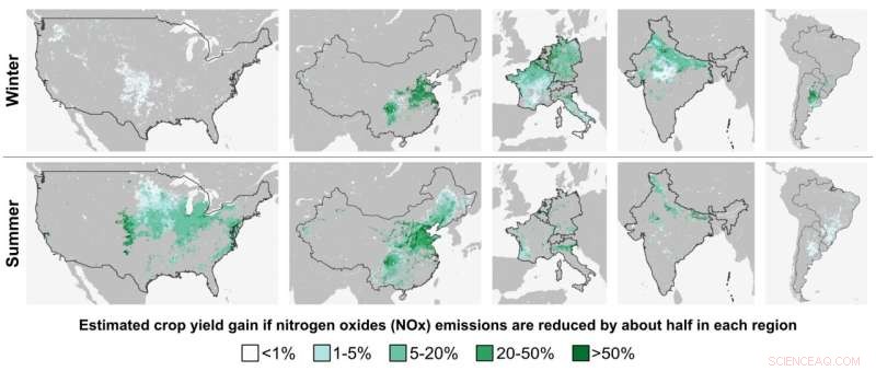 Air Pollution Reduction Boosts Crop Yields: A New Study