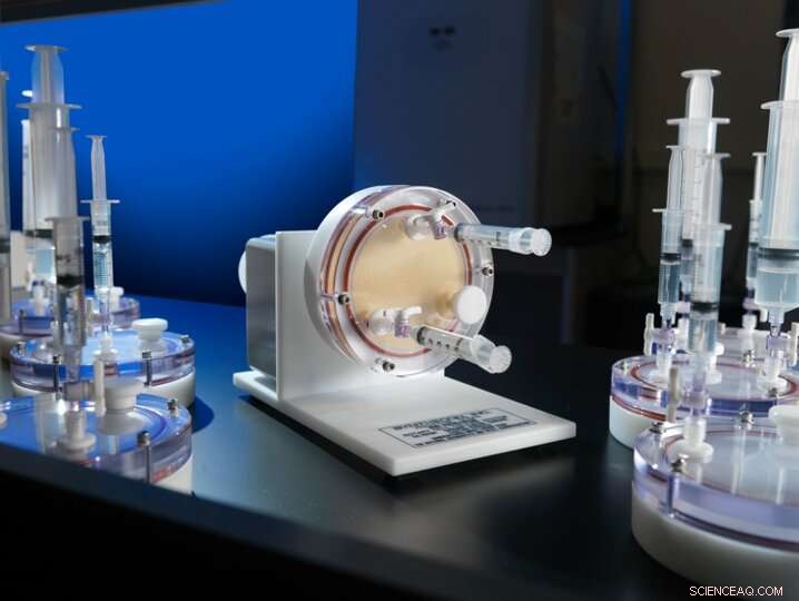 Microgravity Impacts Microbial Infections in 3D Human Tissue Models: New Research