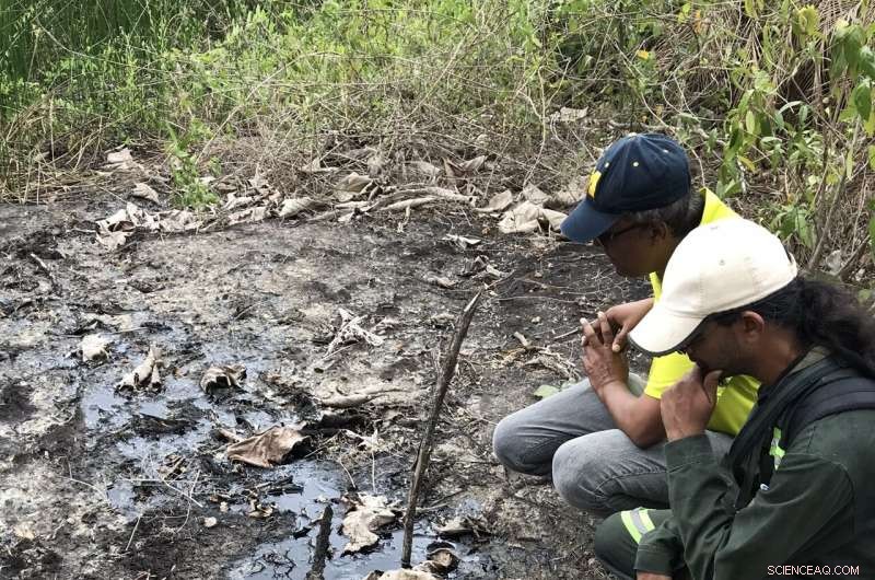 Colonialism s Enduring Impact on Caribbean Science