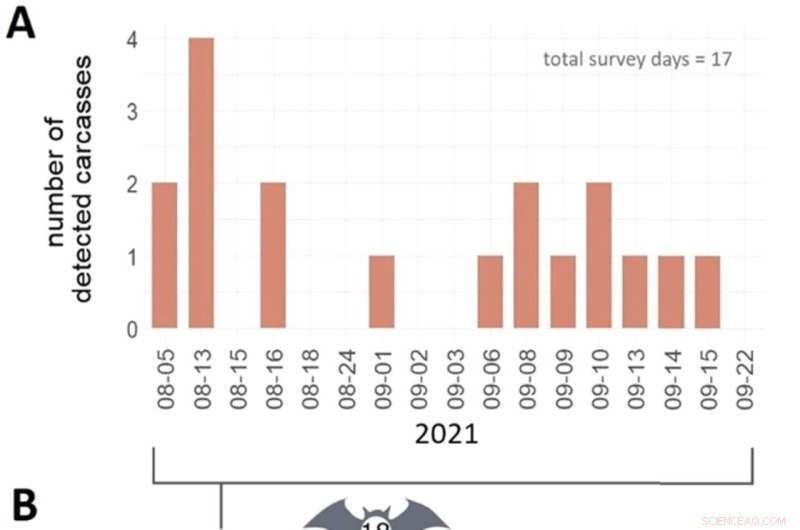 Wind Turbine Curtailment and Bat Mortality in Germany: A 20-Year Study