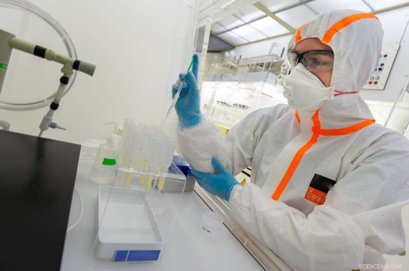 Did Great White Sharks Drive the Megalodon to Extinction?