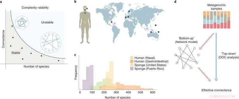 Understanding Stability in Microbial Ecosystems: Complexity and Resilience