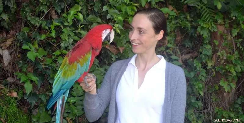 Keeping Endangered Parrots: Ethical Considerations & Suitability