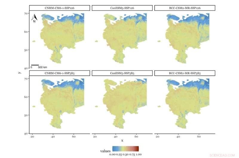 Hogweed Invasion: Mapping the Spread of a Toxic Threat in European Russia