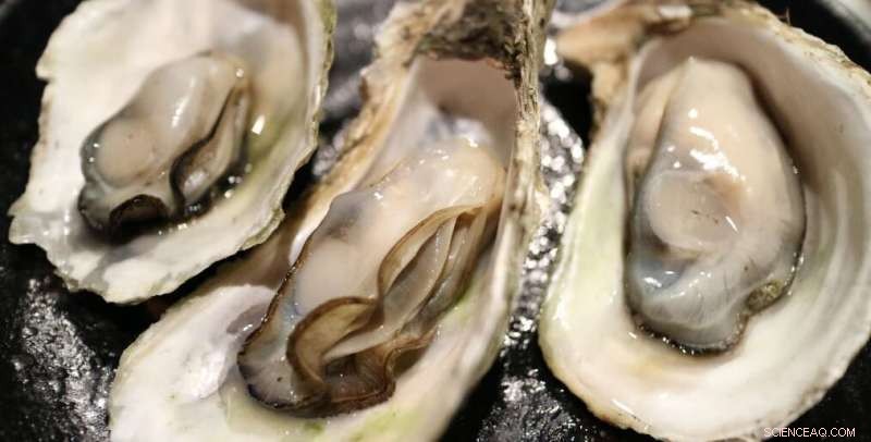 Marine Compounds & Fertility: New Research on Oysters & Seahorses