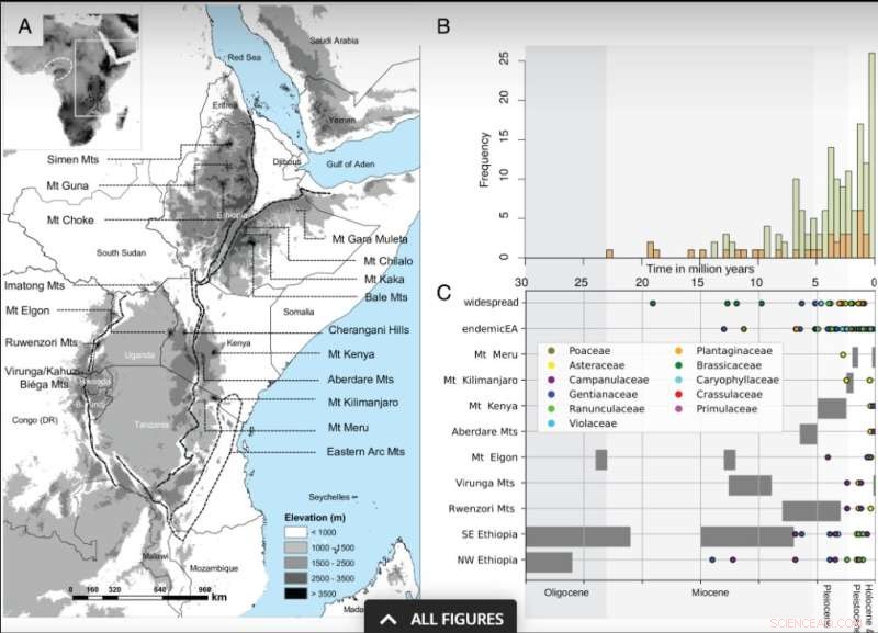 Afroalpine Flora: Distribution, Colonization, and Diversification in Eastern Africa