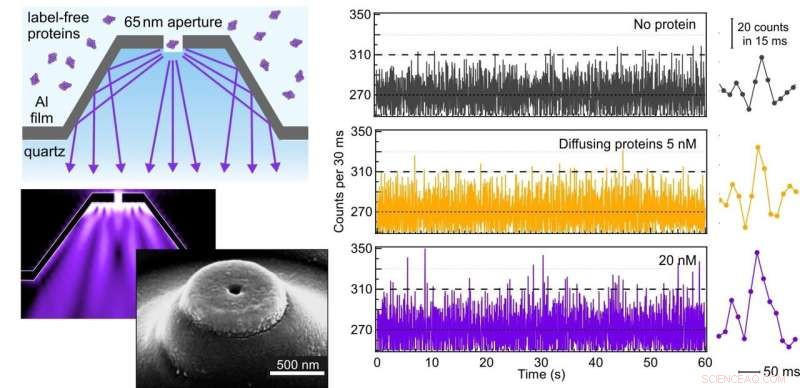 Ultraviolet Optical Antennas for Single Protein Detection