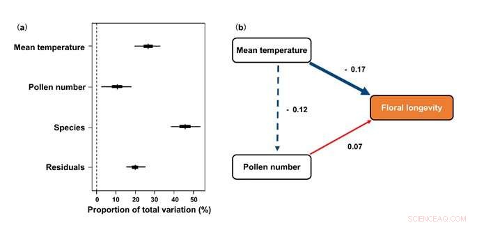 Floral Longevity: Global Patterns, Biomes & Phylogenetic Correlations
