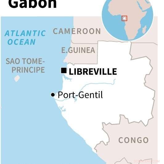 Gabon s Innovative Anti-Poaching Strategy: Protecting Forest Elephants