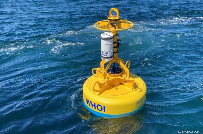 Protecting Right Whales: New Robotic Buoys for Atlantic Ocean Safety