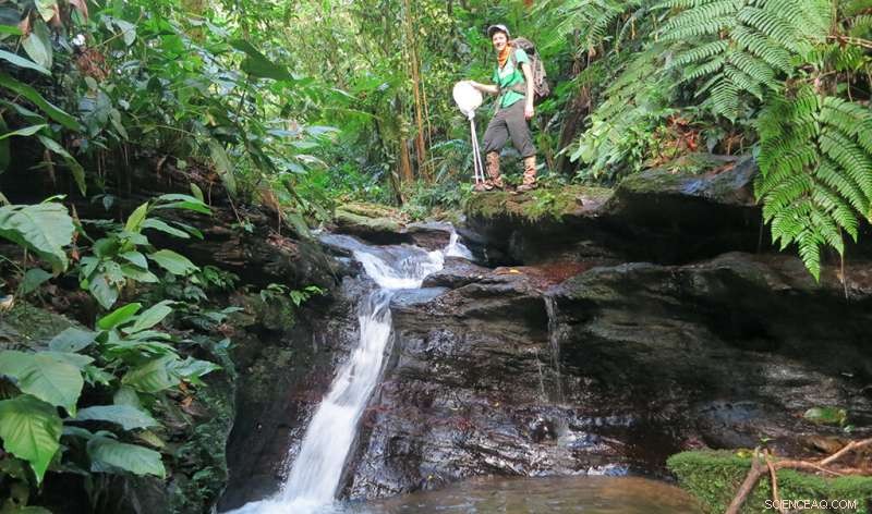 Guppy Evolution: Unlocking Insights into Adaptation and Natural Selection