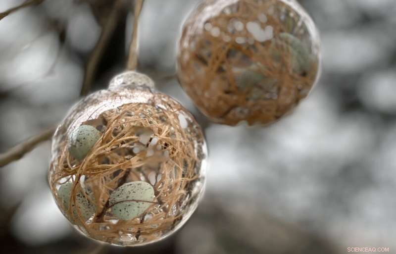 Linker Histones and Single-Stranded DNA: A Surprising Interaction