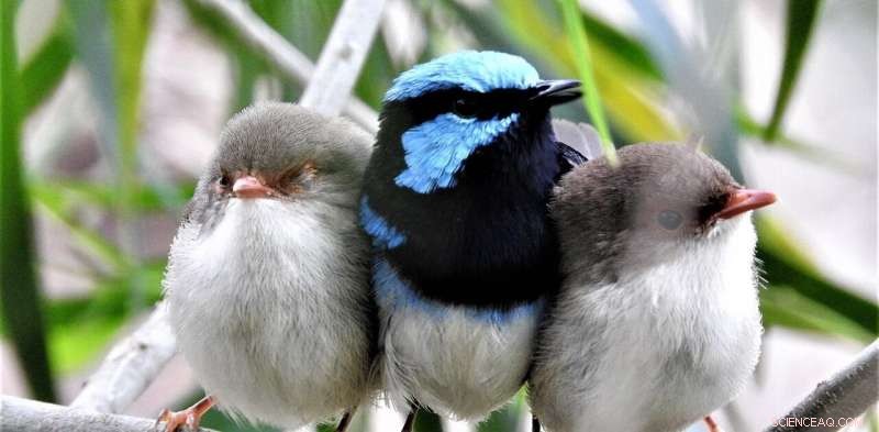 Accelerated Evolution: How Animals Are Adapting Faster Than We Thought