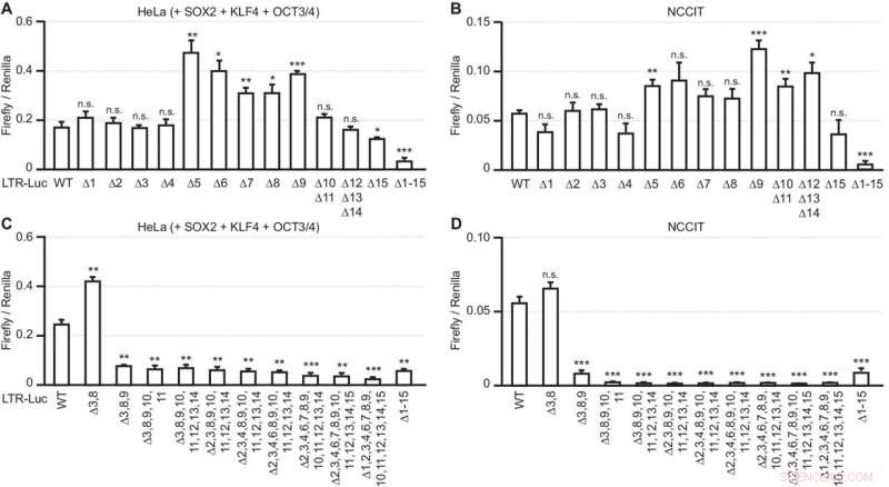 HERV-K Transcription: Novel Insights into Ancient Viral Elements in the Human Genome