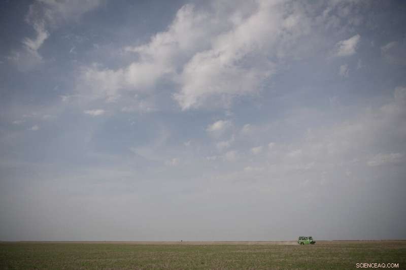 Strawberry Farming s Impact on Donana National Park s Wetlands
