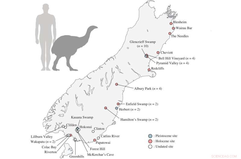 Moa Survival During the Ice Age: Lessons for Modern Climate Change