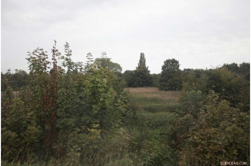 AI-Powered Biodiversity Monitoring for Railway Tracks: A Breakthrough