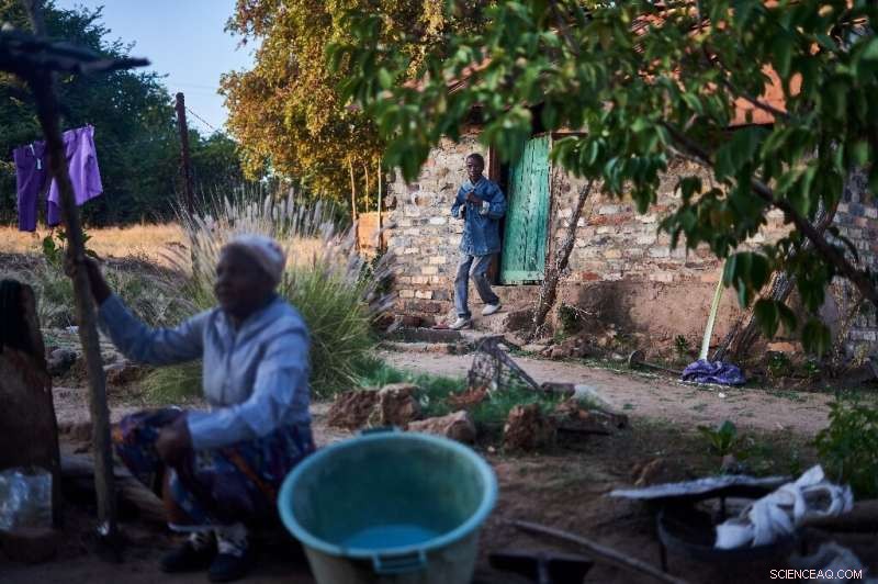 Zimbabwe Elephant Population Growth: Human-Wildlife Conflict Escalates