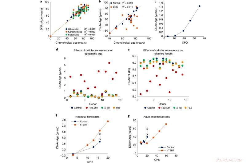 Epigenetic Aging (EpiAge): A Hallmark of Aging?