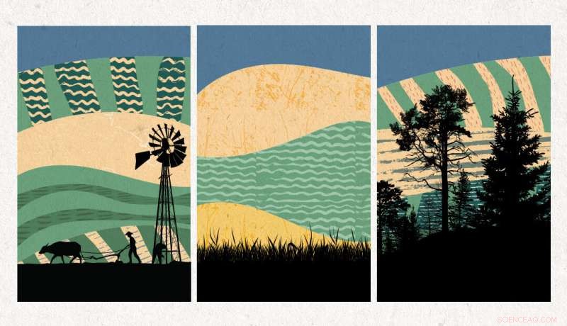 Restoring Abandoned Farmlands: A Climate Change Solution