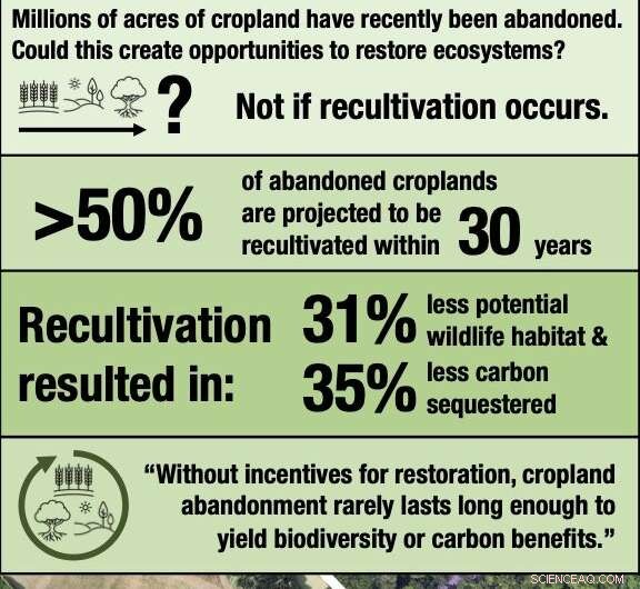 Restoring Abandoned Farmlands: A Climate Change Solution