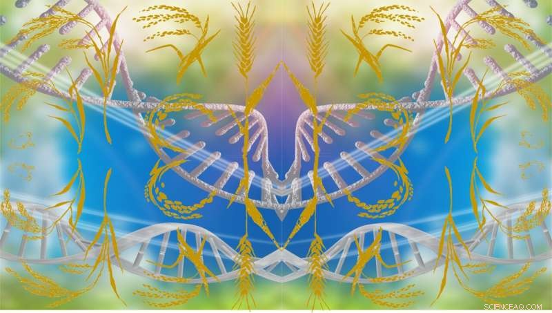 The Importance of Social Connections for Species Survival