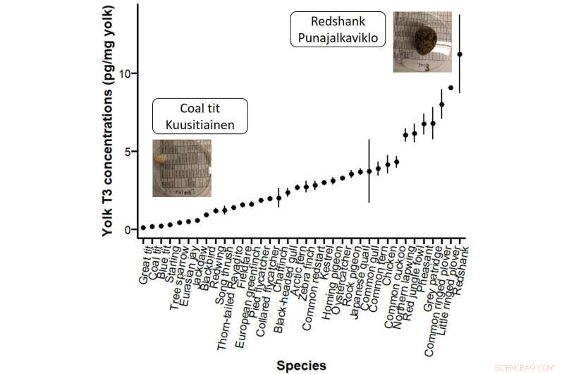 Thyroid Hormone Levels in Bird Eggs: Migration and Development