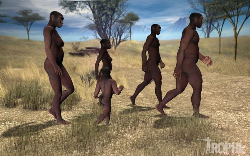 Children s Walking Efficiency: Adults-Pace Speed & Energy Use