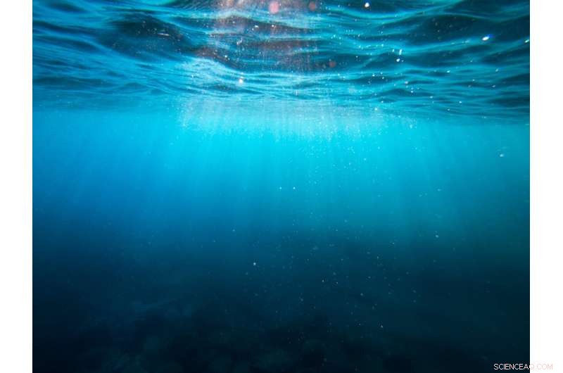 Exploring Mesophotic Ecosystems: Unveiling the Secrets of the Ocean s Twilight Zone