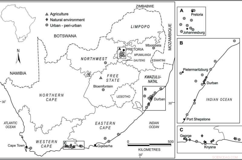 Polyphagous Shot Hole Borer: $18.45 Billion Economic Impact on South Africa