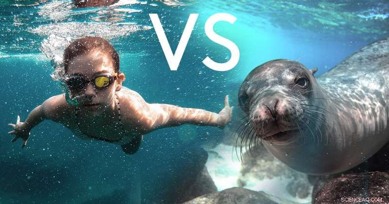 Underwater Hearing: Human vs. Seal - A Comparative Analysis