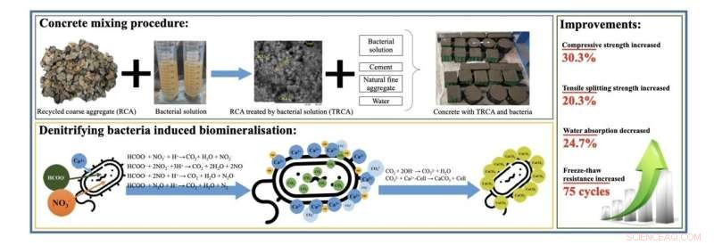 Bacteria-Enhanced Concrete: A Sustainable Solution for Construction