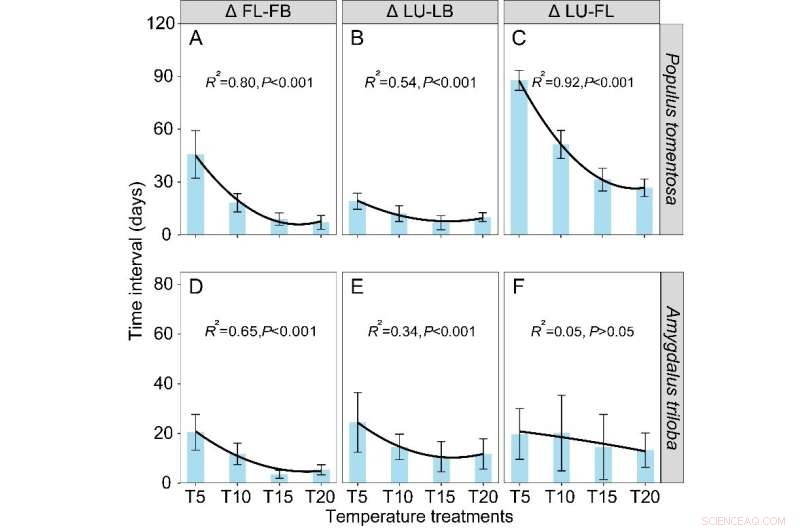 Warm Season Impacts Flowering & Leaf Development in Poplar & Serviceberry