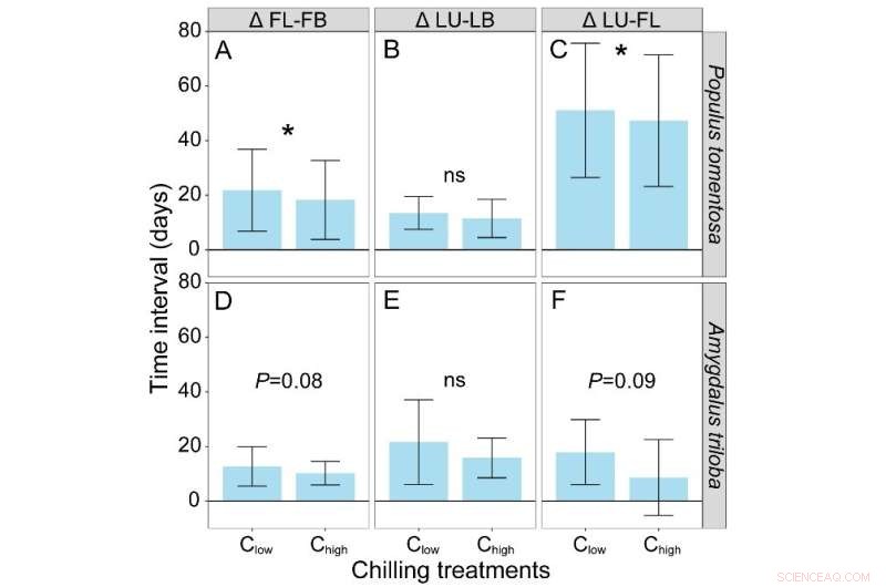 Warm Season Impacts Flowering & Leaf Development in Poplar & Serviceberry