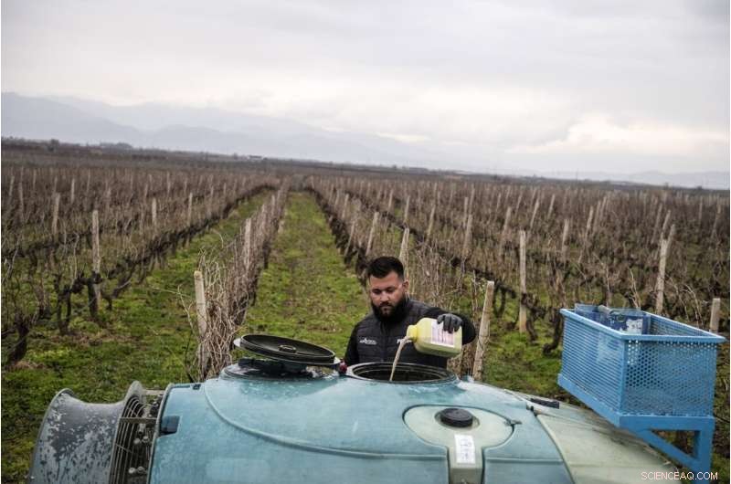 EU Fruit & Vegetable Contamination: Pesticide Use Surges in Recent Years