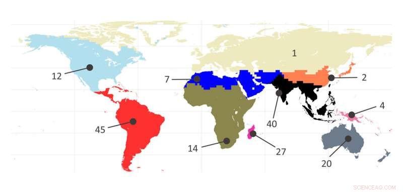 Ancient Termites: A Journey Through the World s Oceans