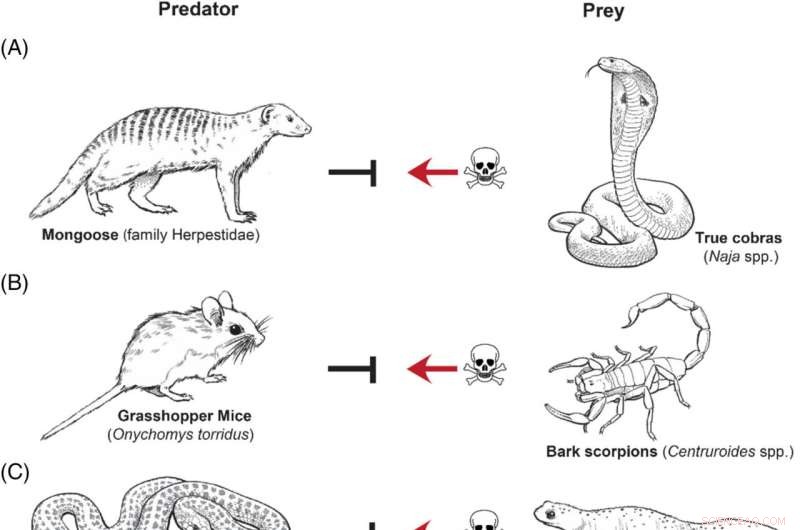 Toxin Resistance in Animals: Ecological Contexts and Examples