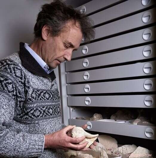 Ancient Reef Corals Reveal Secrets of Past Climate Change