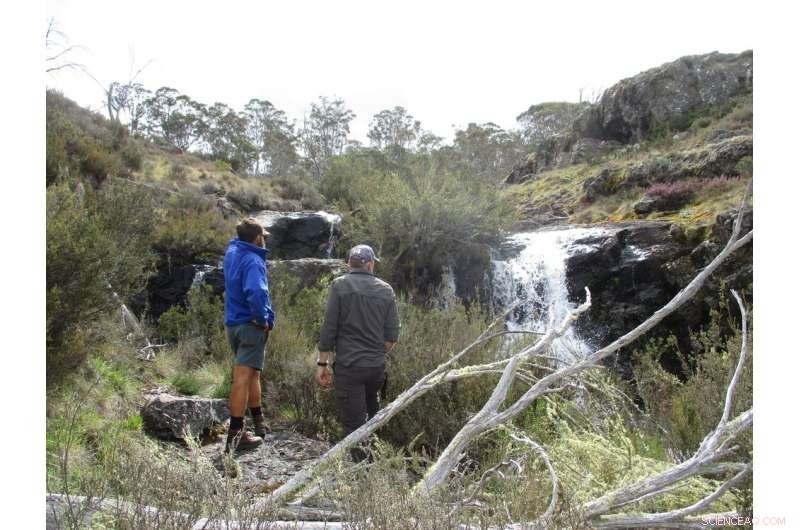 63 Species Facing Extinction: Urgent Preservation Efforts Identified