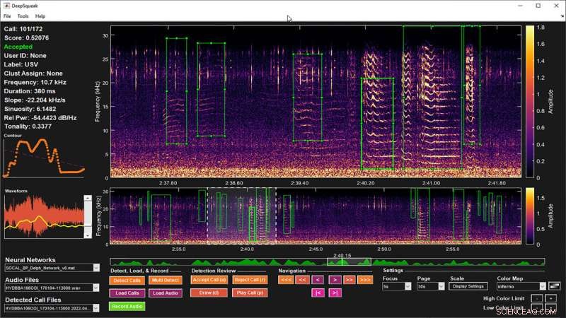 DeepSqueak: AI-Powered Tool for Marine Mammal Call Identification
