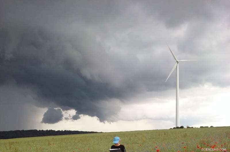 Boosting Bee Populations: Organic Farming vs. Flower Strips - An Expert Analysis