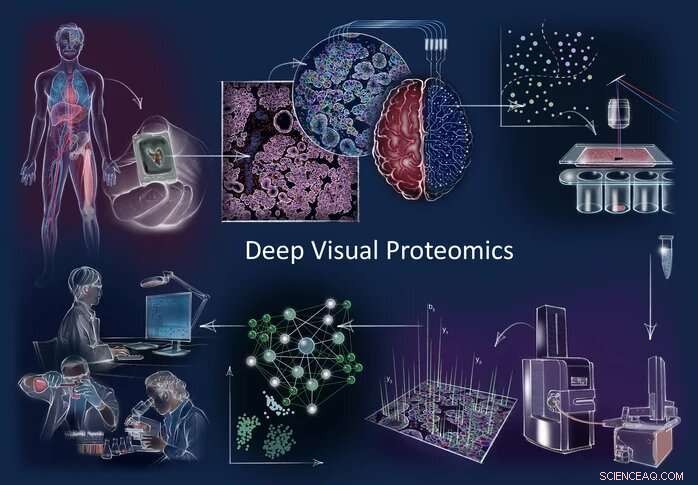 Deep Visual Proteomics: Unlocking Cell-Specific Protein Insights for Cancer Analysis