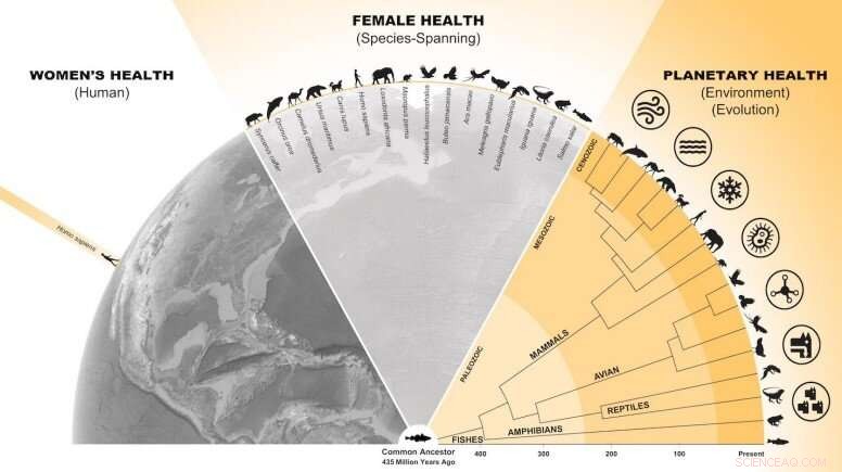 Cross-Species Research for Advancing Women s Health