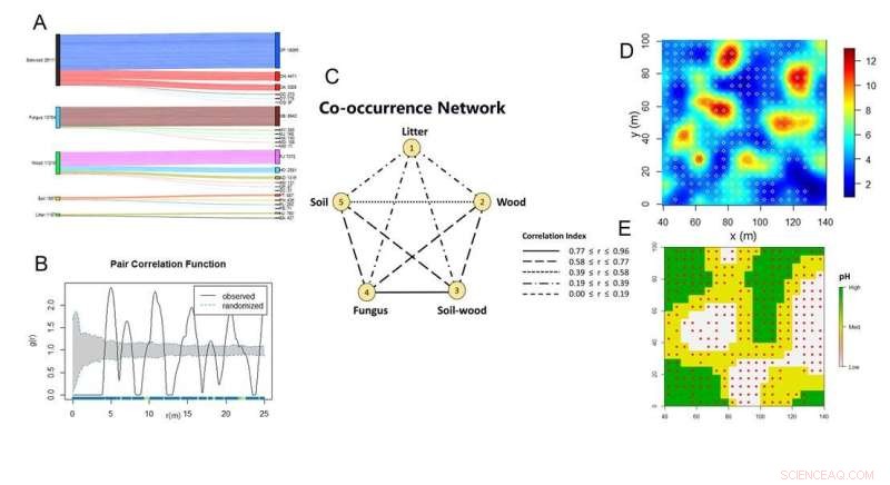 Termite Activity & Distribution: The Role of Topography & Soil pH